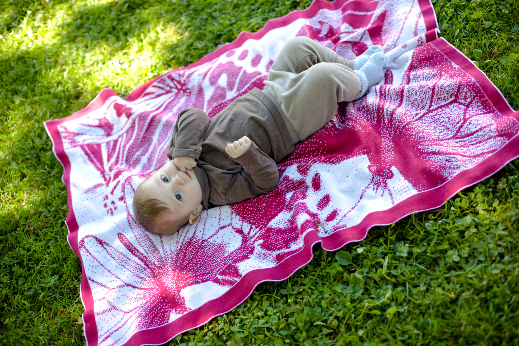 Baby blanket cashmere Butterflies Swarm