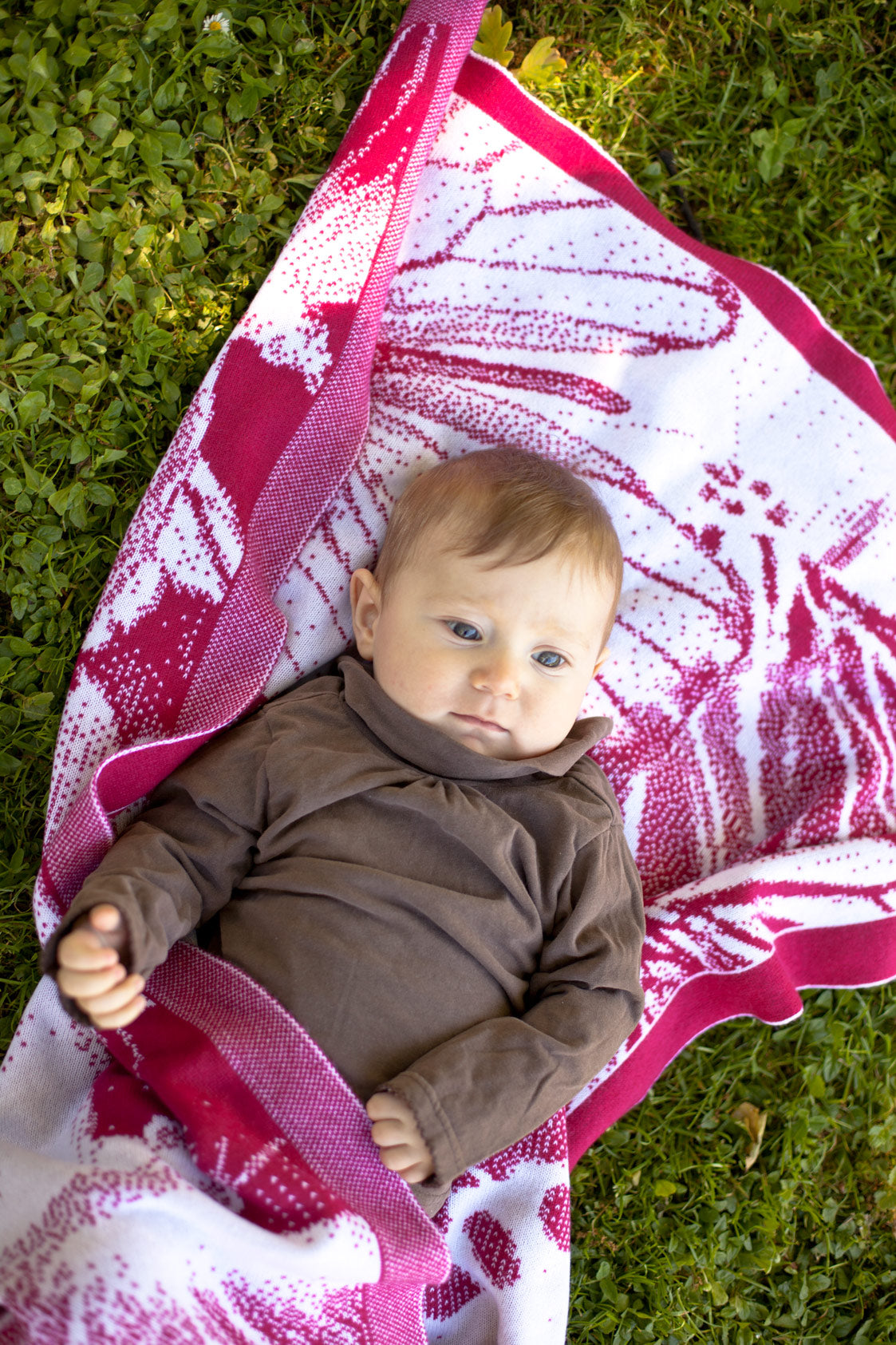 Baby blanket cashmere Butterflies Swarm