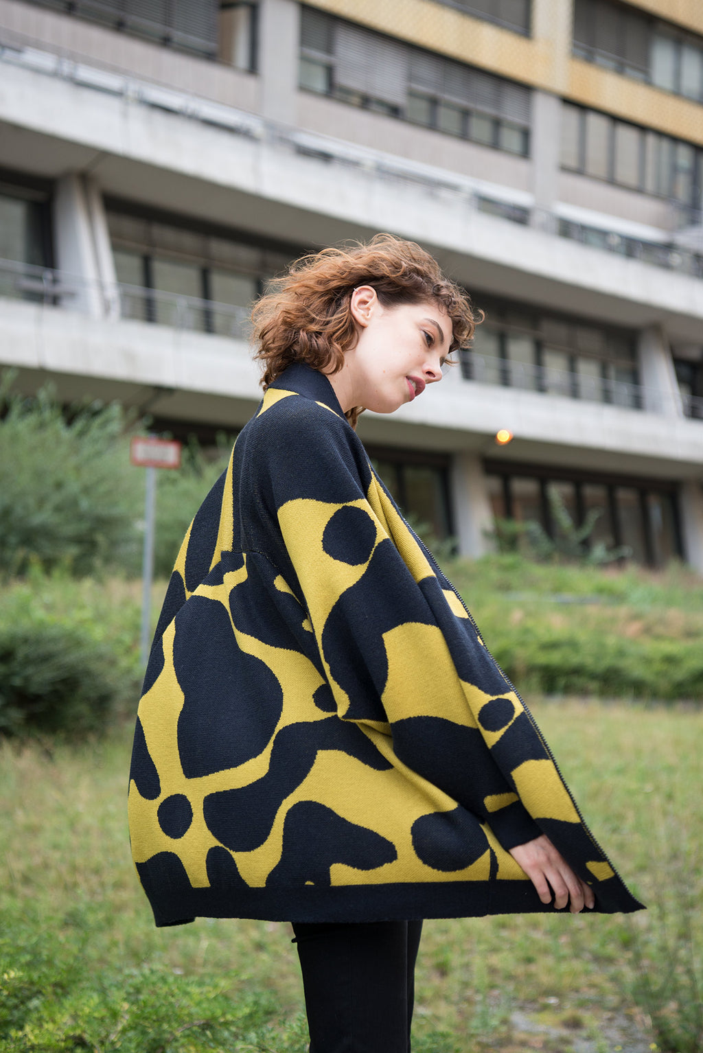 JACKET ABSTRACT