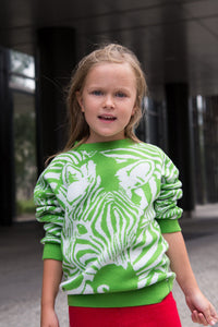 Wool sweater Zebra